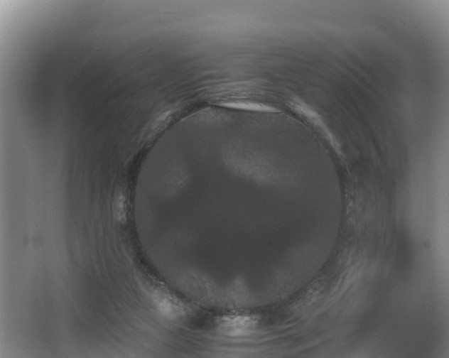 X0000062830161200601171428