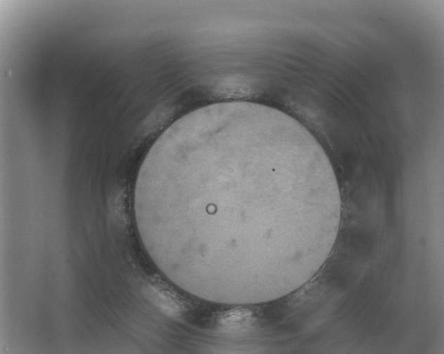 X0000062830162200601171428