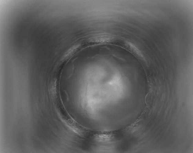 X0000062830163200601171428