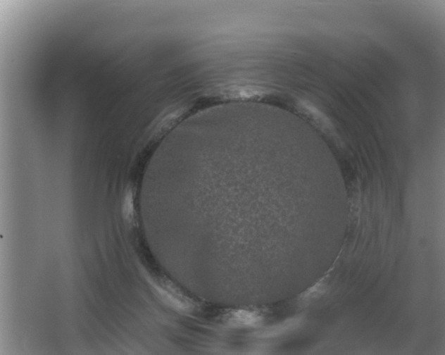 X0000062830166200601171428