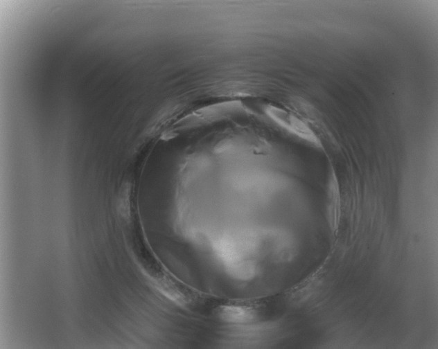 X0000062830167200601171428