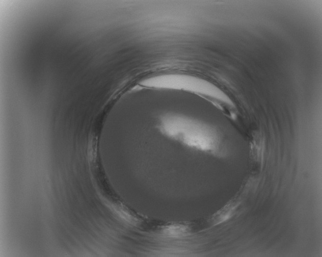 X0000062830168200601171428