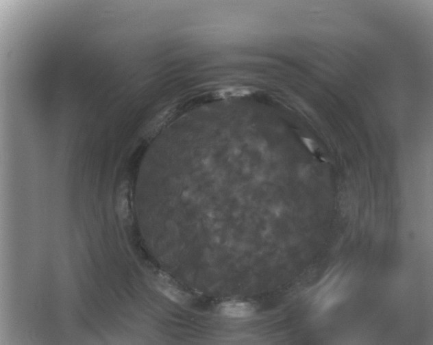 X0000062830169200601171429