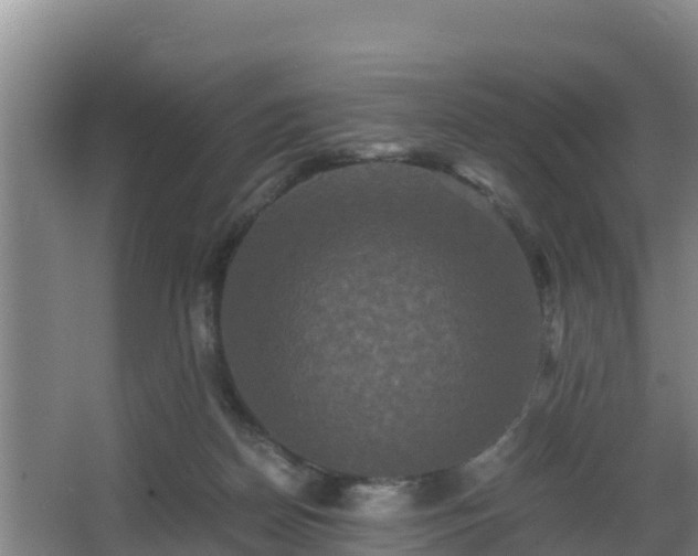 X0000062830170200601171429