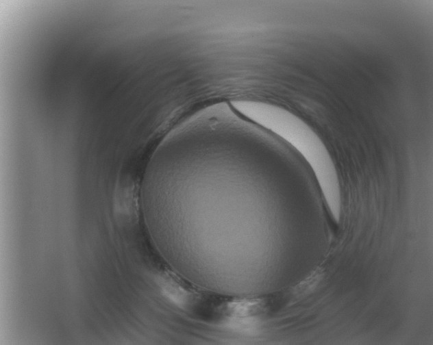 X0000062830172200601171429