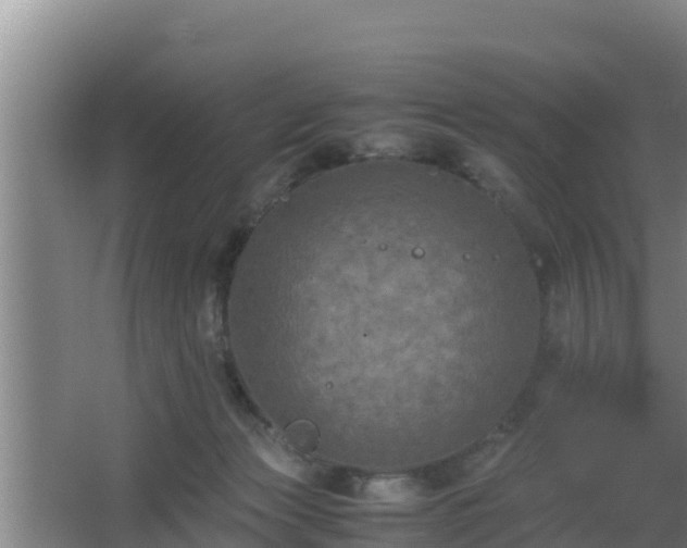 X0000062830173200601171429