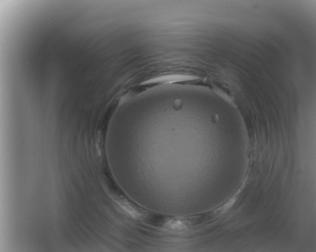 X0000062830174200601171429