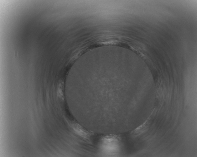 X0000062830175200601171429