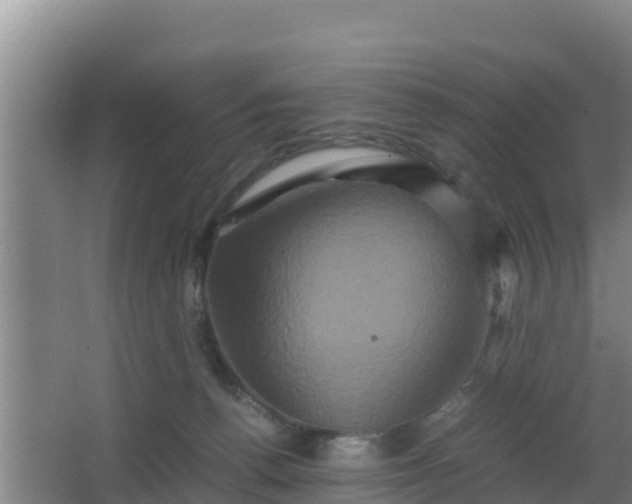 X0000062830176200601171429