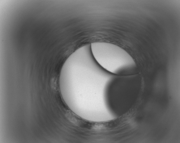 X0000062830177200601171429