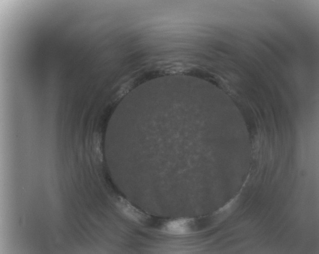 X0000062830178200601171429