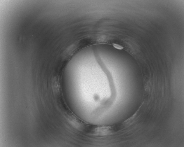 X0000062830179200601171429