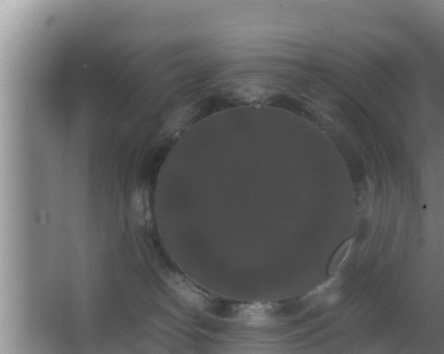 X0000062830182200601171429