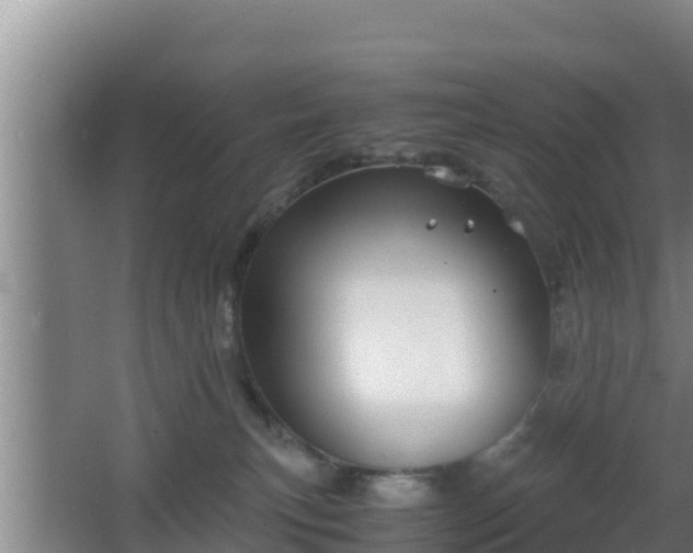 X0000062830183200601171429