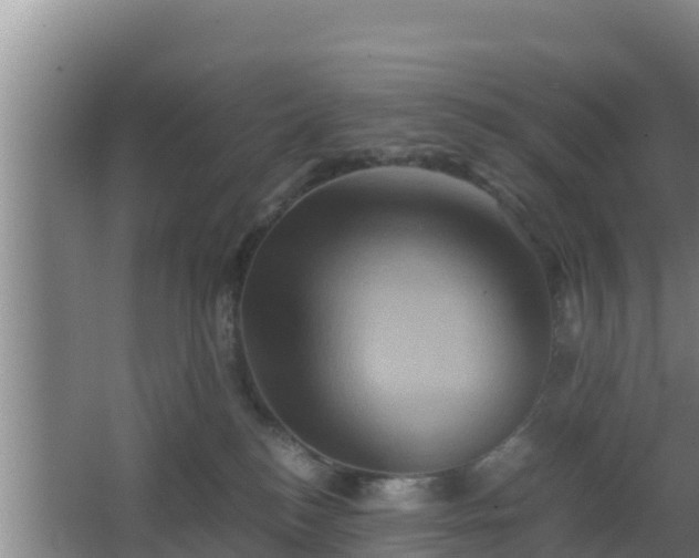 X0000062830184200601171429