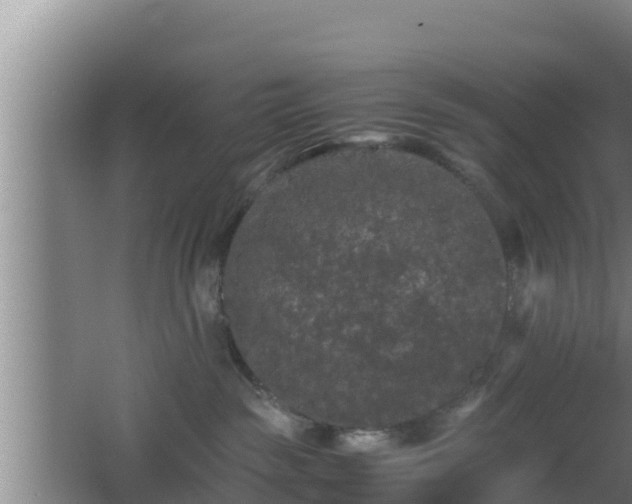 X0000062830189200601171429