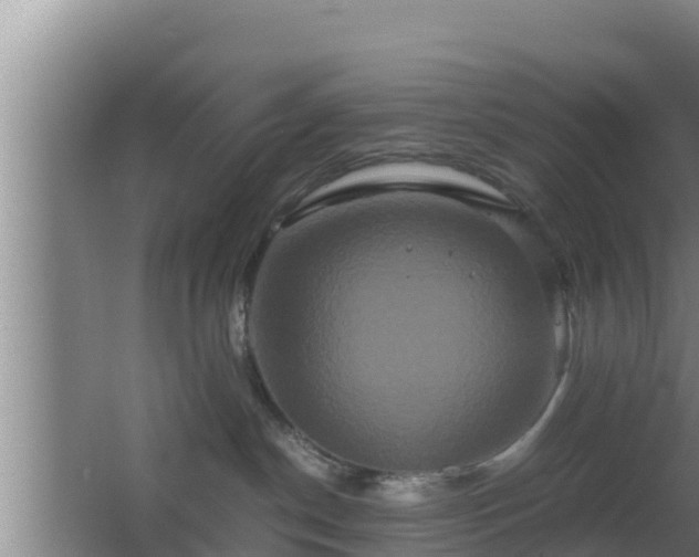 X0000062830190200601171429