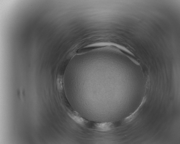 X0000062830191200601171429