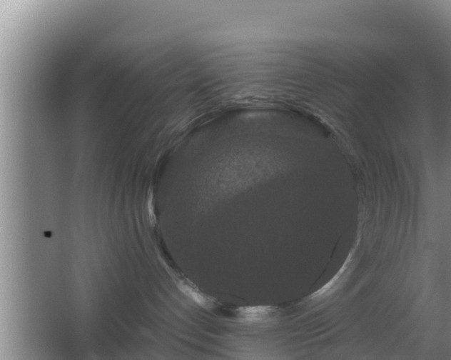 X0000062830192200601171429