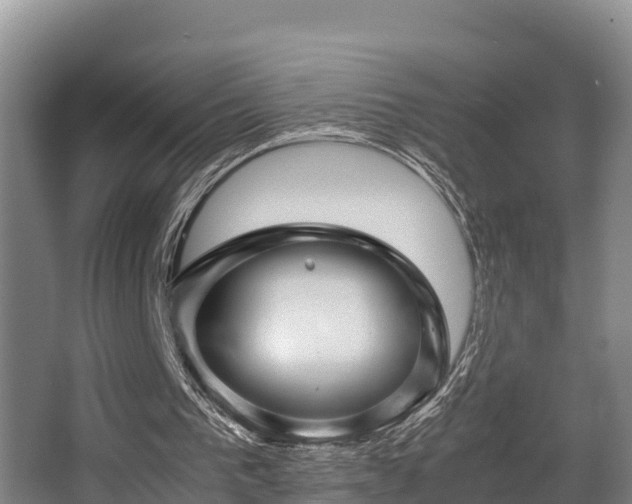 X0000062830193200601171428