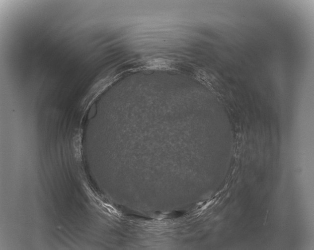 X0000062830194200601171428