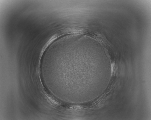 X0000062830195200601171428