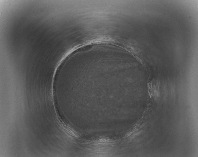 X0000062830196200601171428