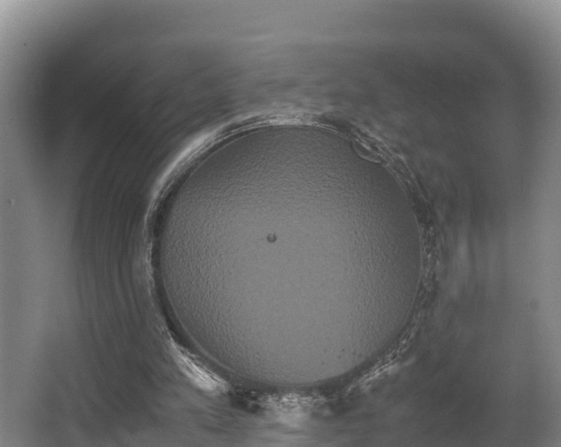 X0000062830197200601171428