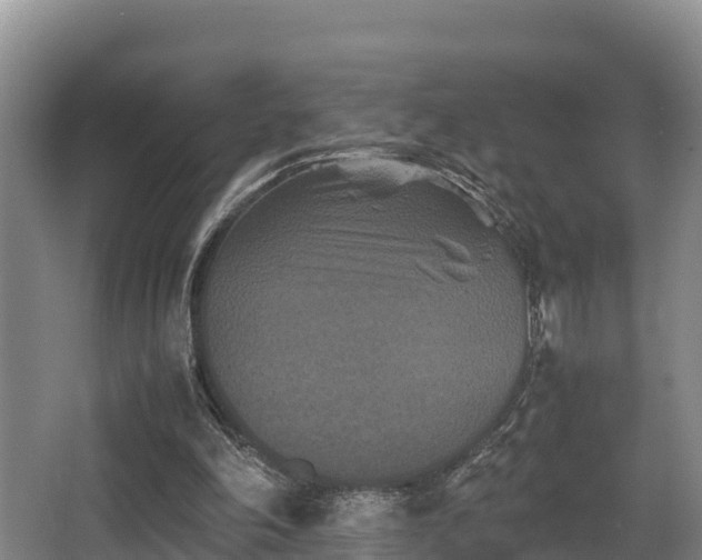 X0000062830198200601171428