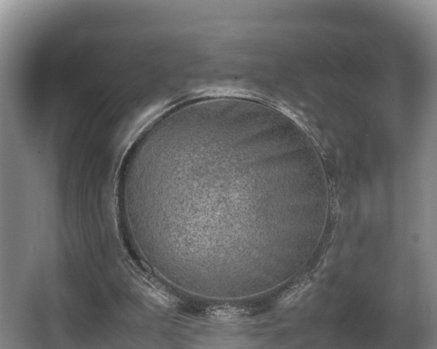 X0000062830199200601171428