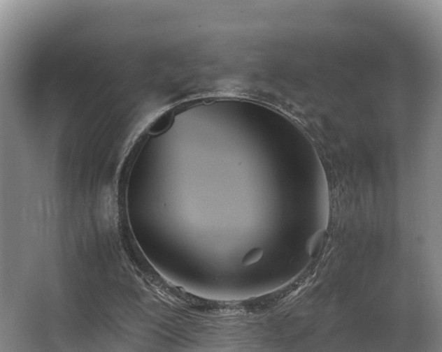 X0000062830200200601171428