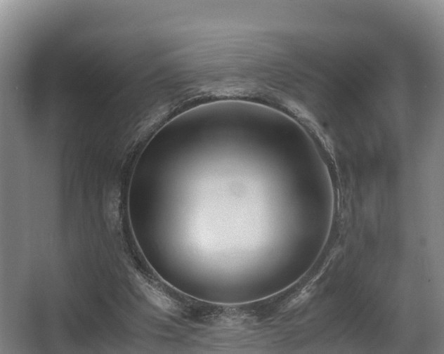 X0000062830201200601171428