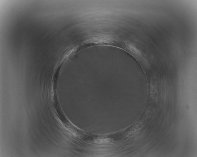 X0000062830202200601171428