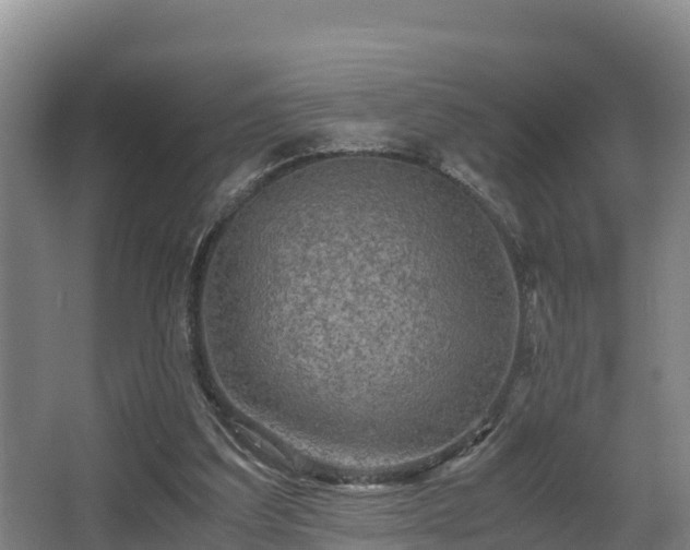 X0000062830203200601171428