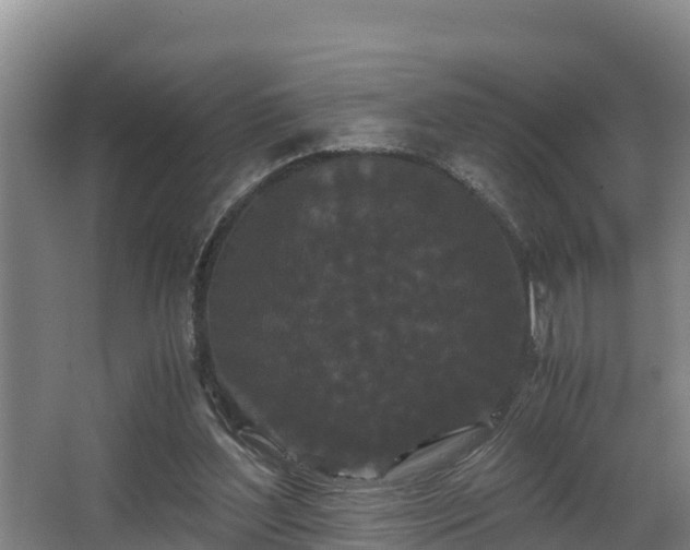 X0000062830204200601171428