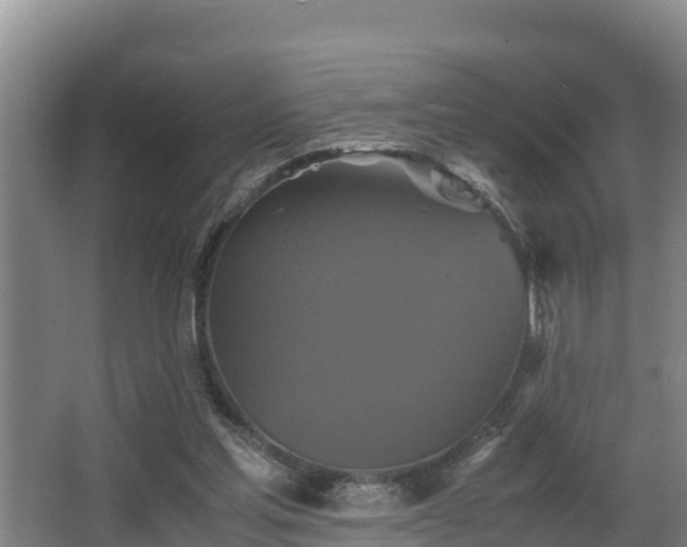 X0000062830205200601171428