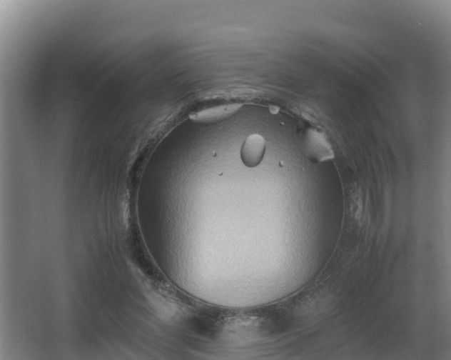 X0000062830206200601171428