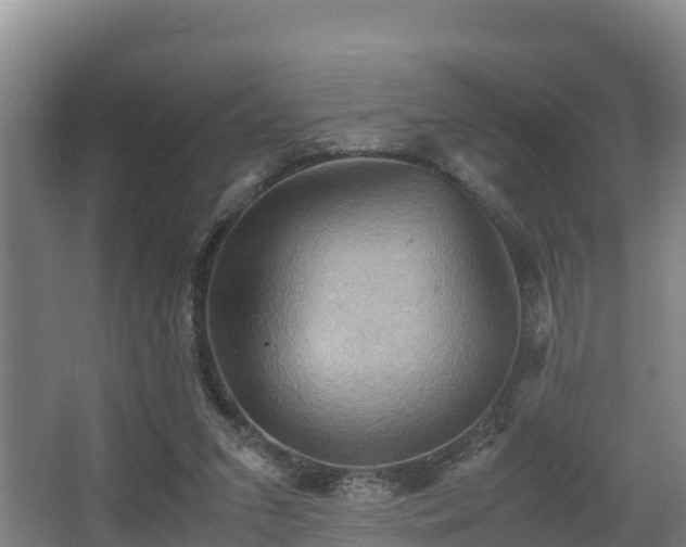 X0000062830207200601171428