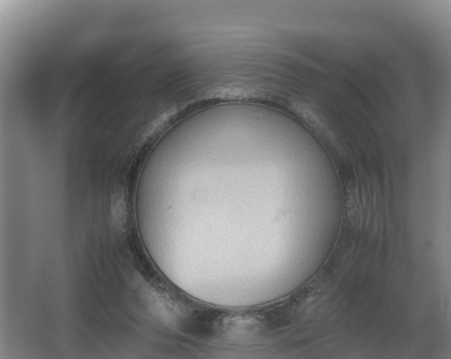 X0000062830208200601171428