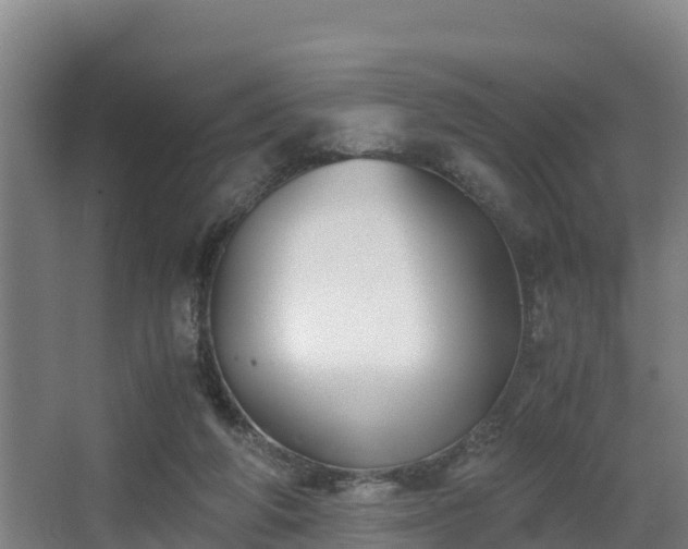 X0000062830210200601171428