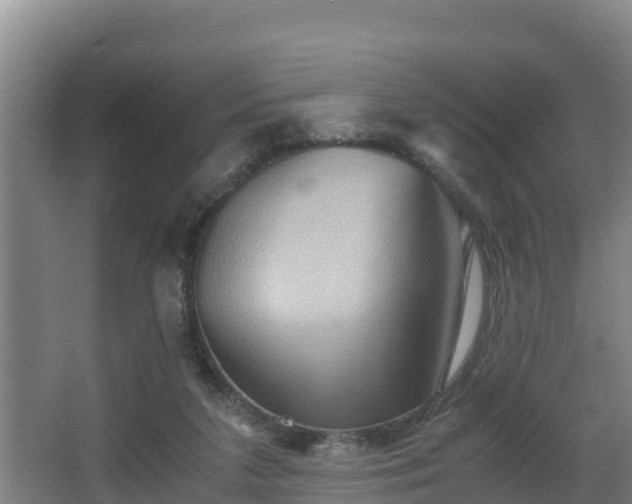 X0000062830211200601171428