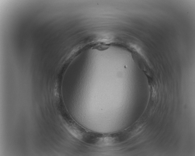 X0000062830212200601171428