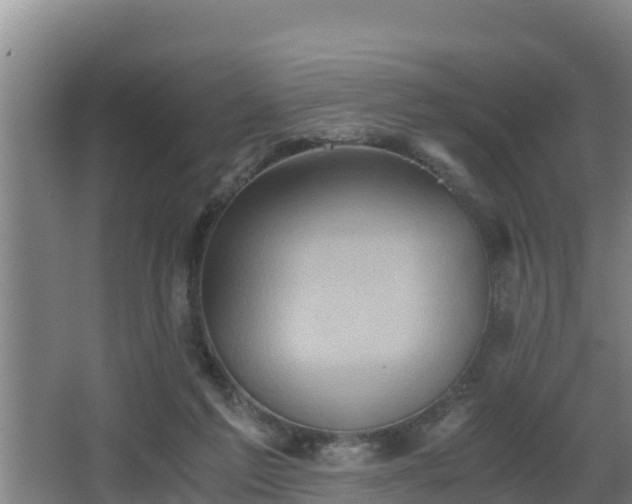 X0000062830213200601171428