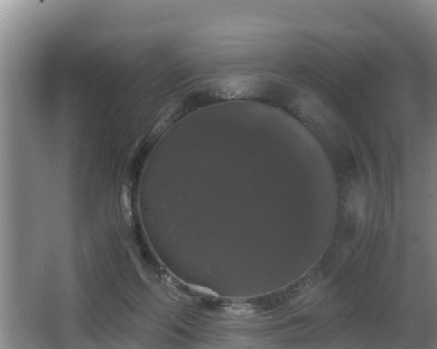 X0000062830214200601171428