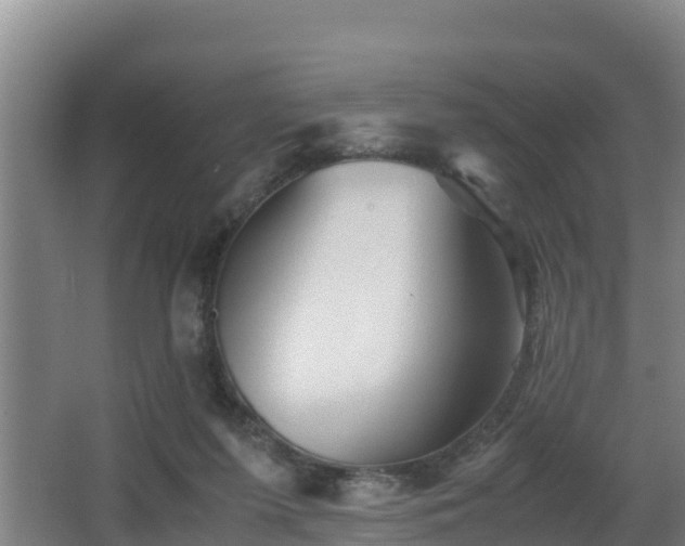 X0000062830215200601171428