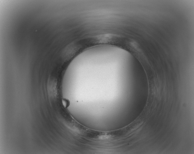 X0000062830216200601171428