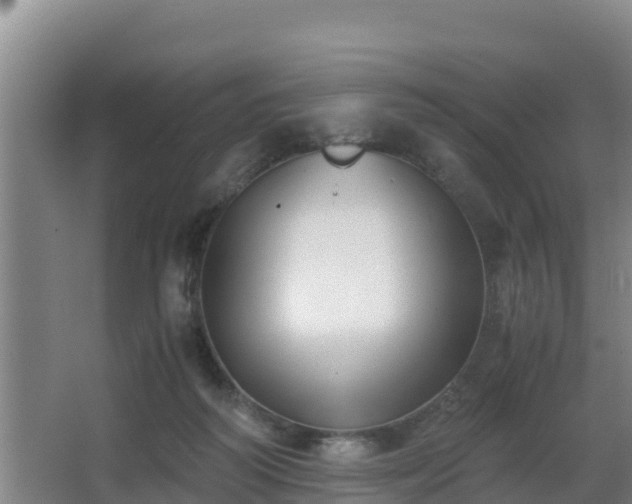 X0000062830218200601171428