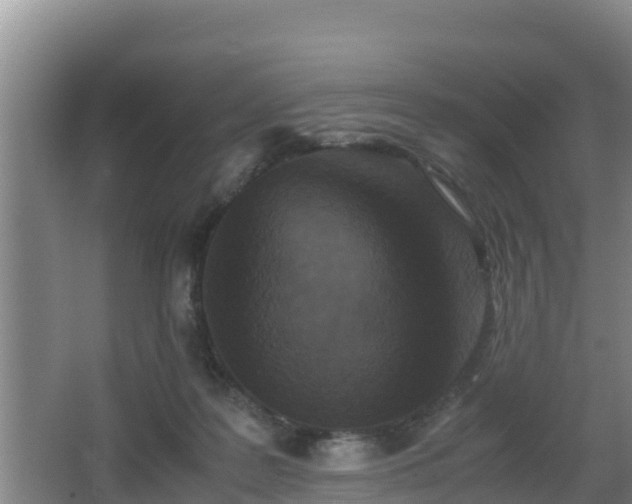 X0000062830219200601171428