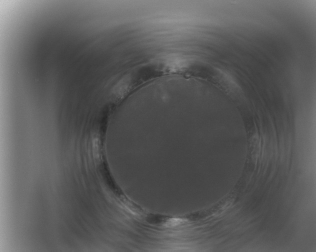 X0000062830222200601171428