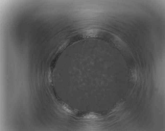 X0000062830224200601171428